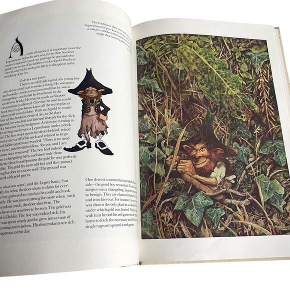 Vintage Faeries Book Hardcover 1978 Graphic Art Brian Froud No Dust Jacket READ - Picture 9 of 16